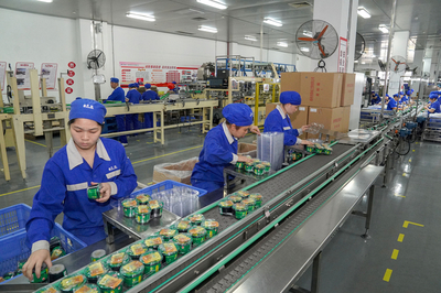 構(gòu)建高效門戶，賦能企業(yè)發(fā)展——中恒集團(tuán)門戶網(wǎng)站建設(shè)方案